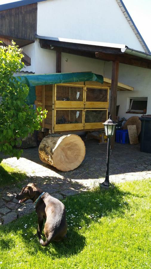 Ferienwohnung Rucksack-Bimbes Altendiez Экстерьер фото
